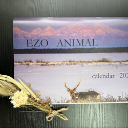 EZO ANIMAL ～北海道の動物たち～ 2枚目の画像