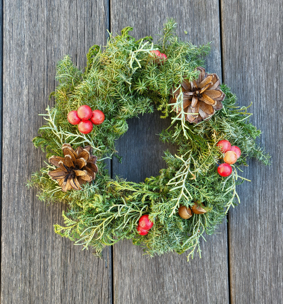 ブルーアイスとサンキライのクリスマスリース リース Cosmos:) 通販