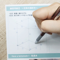 【動画２本付き】水彩色鉛筆で彩を愉しむキット _レモネード 6枚目の画像