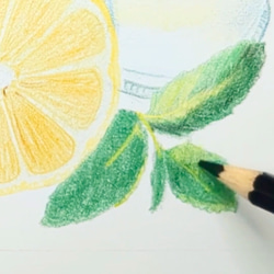 【動画２本付き】水彩色鉛筆で彩を愉しむキット _レモネード 18枚目の画像