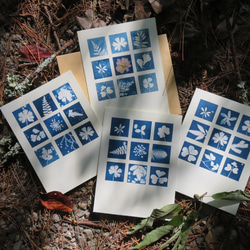 植物剪影。九宮格藍曬卡片（附信封） Botanic Cyanotype Card (with Envelope) 第3張的照片