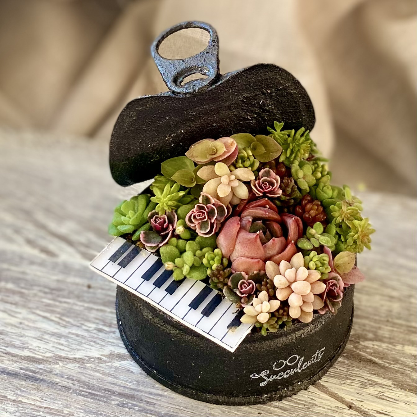 リメイク缶357☆多肉植物☆寄せ植え☆インテリア