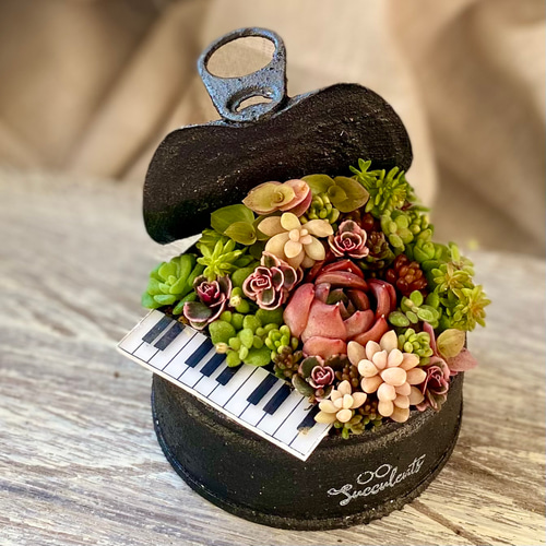 小さなグランドピアノ』 リメイク缶寄せ植えセット 多肉植物 リメイク