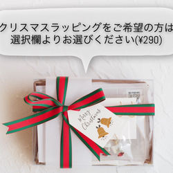 【クリスマスまで期間限定販売】溶けネコのクリスマスセット 15枚目の画像