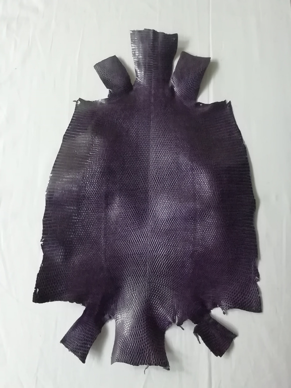 リザード　トカゲ　濃い紫 1枚目の画像
