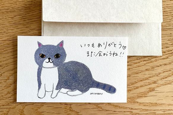 メッセージカード01 猫のみんちゃん　／HACHIBAKU 2枚目の画像