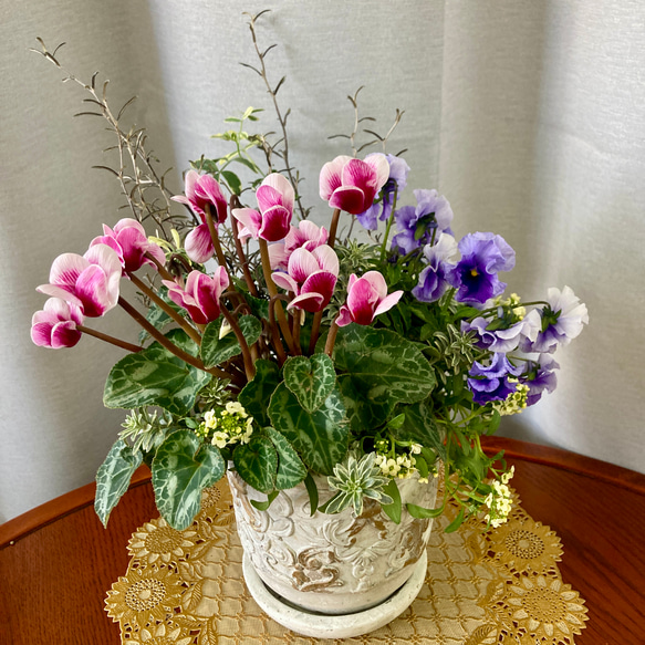 シクラメンとフリルビオラの寄せ植えギャザリング アートフラワー 茶々