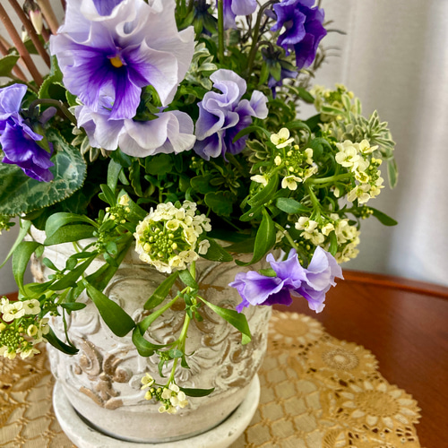 シクラメンとフリルビオラの寄せ植えギャザリング アートフラワー 茶々