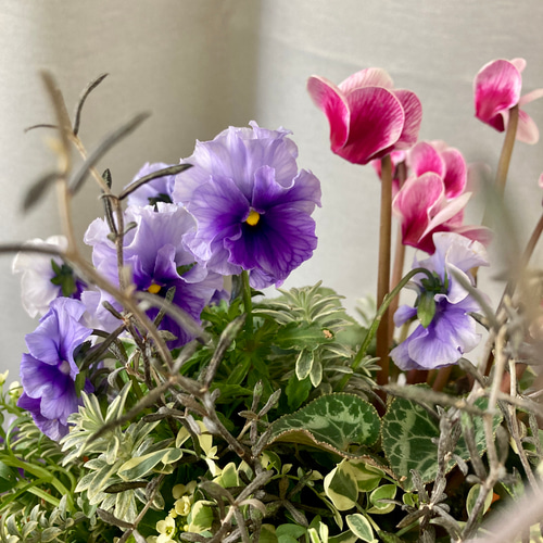 ハンドメイド♡♡水彩フラワーフリルツイン パープル ハンドメイド♡♡水彩フラワーフリルツイン パープル