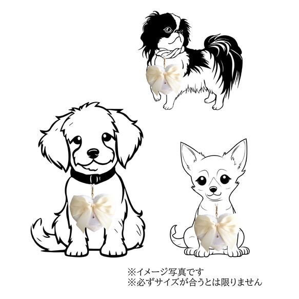 【小型犬】リングドッグ Ｓサイズ ネックレスタイプ リングピロー 犬    ホワイト レース生地花柄  ウェディング 12枚目の画像