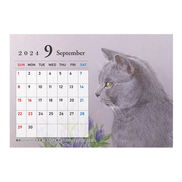猫のカレンダー【卓上タイプ】2024年 11枚目の画像