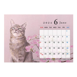 猫のカレンダー【卓上タイプ】2024年 8枚目の画像