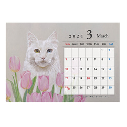 猫のカレンダー【卓上タイプ】2024年 5枚目の画像