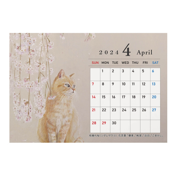猫のカレンダー【卓上タイプ】2024年 6枚目の画像