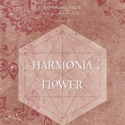 HARMONIA FLOWER （ブルーアパタイト＋スモーキークォーツ）- 天然石すずなりピアス（14KGF） 11枚目の画像