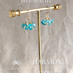 HARMONIA FLOWER （ブルーアパタイト）- 天然石すずなりピアス（14KGF） 4枚目の画像