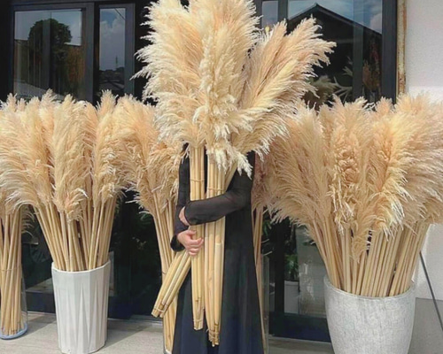 e43559e27b31a03927a01a3501b2ec