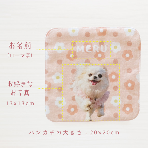 うちの子ハンカチ ミニタオル  写真 名入れ 2枚セット 20×20cm 花柄 ペット 犬 猫 今治タオル 3枚目の画像