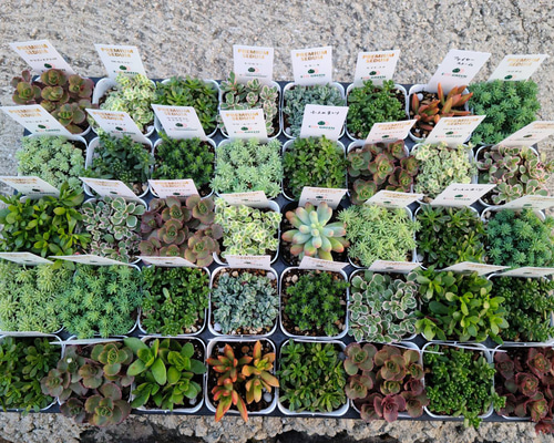 219ea043a12d6d29974bb189d374a2