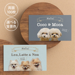 「愛しの♡エリー♬」（新）ワンちゃって投扇興セット（犬シール付！） Amazon.co.jp: シーズー 小型犬 シール 車 ステッカー ちょい悪