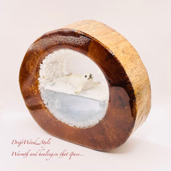 一つ限りの流木アート 流氷のゴマフアザラシ ジオラマ 流木 フィギュア インテリア レジン 置物 動物 アザラシ N3 4枚目の画像