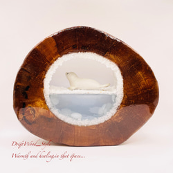 一つ限りの流木アート 流氷のゴマフアザラシ ジオラマ 流木 フィギュア インテリア レジン 置物 動物 アザラシ N3 6枚目の画像