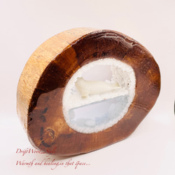 一つ限りの流木アート 流氷のゴマフアザラシ ジオラマ 流木 フィギュア インテリア レジン 置物 動物 アザラシ N3 9枚目の画像