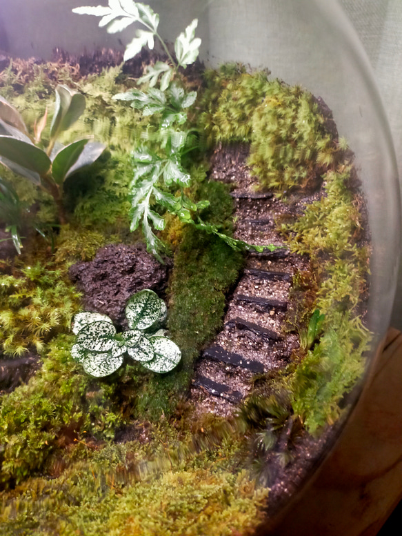 ガラスボール苔テラリウム 