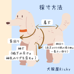 シンプルニットベスト　カーキ×チェック　アウター【受注】犬服オーダー（SSS～LLL）　小型犬中型犬　リバーシブル 9枚目の画像