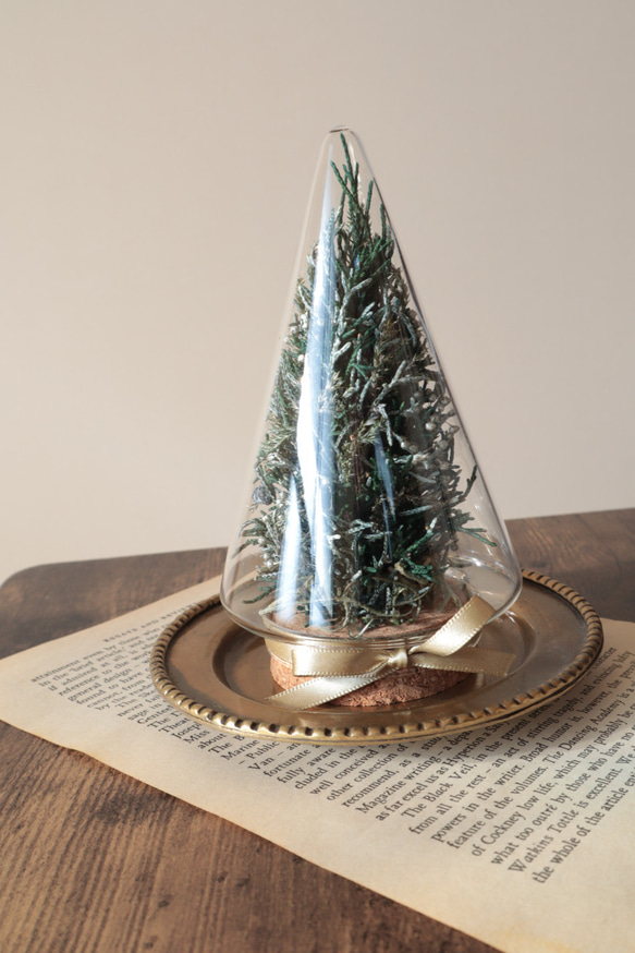 ガラスドームのクリスマスツリー 5枚目の画像
