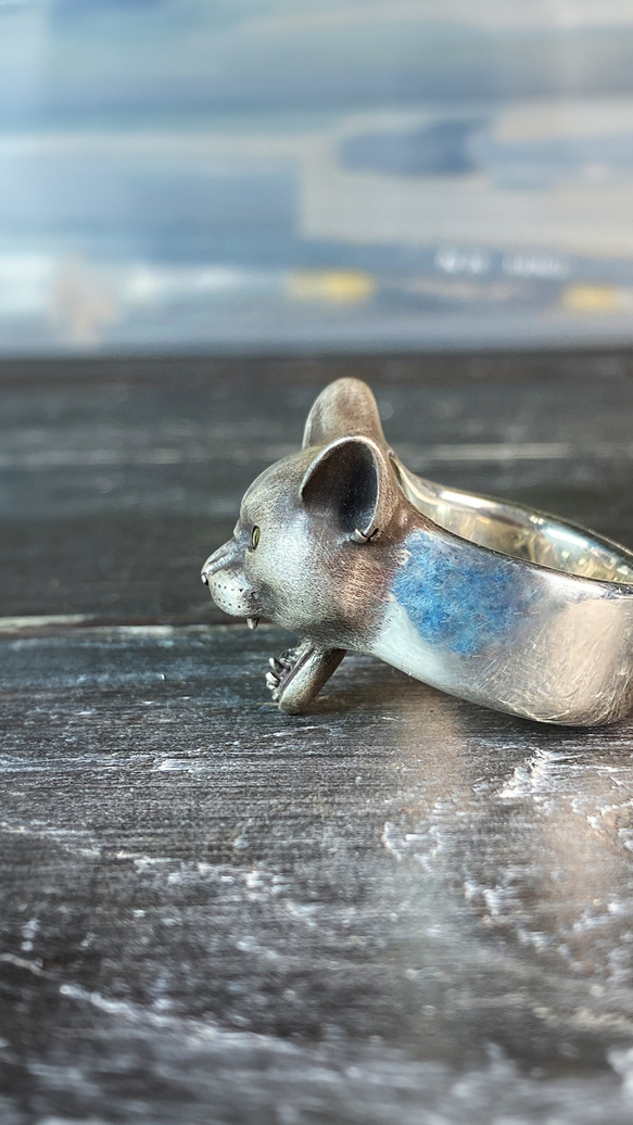 貓科動物憤怒戒指，silver925（銀），銀配件 第10張的照片