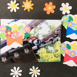 ★ラミネート　色紙　壁面　アルバム　飾り　～かわいい小花のブーケをあなたに♪～　花束　ブーケ　花　画用紙　かわいい 4枚目の画像