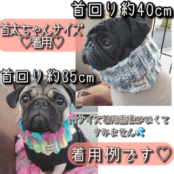 【Ｍサイズ小型犬用】伸縮✨️犬用ネックウォーマー☆ホワイトラメ♡ぷっくりお花モチーフ 2枚目の画像