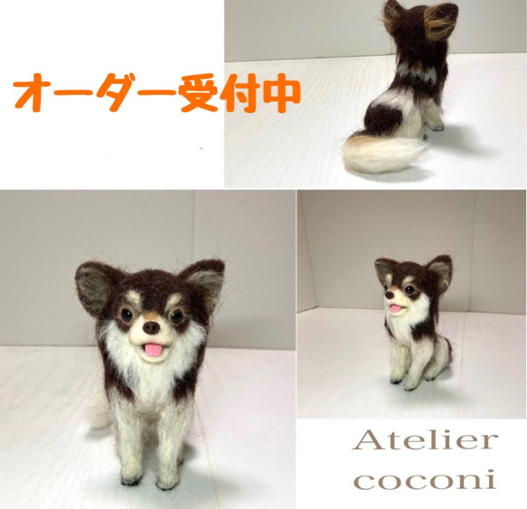 ワンちゃんオーダーメイド うちのこオーダー 羊毛フェルト Atelier 