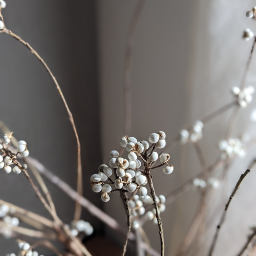 ナンキンハゼ ドライフラワー mamemona 通販 16952738｜Creema(クリーマ)