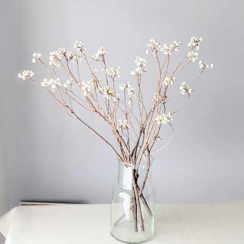 ナンキンハゼ ドライフラワー mamemona 通販 16952738｜Creema(クリーマ)