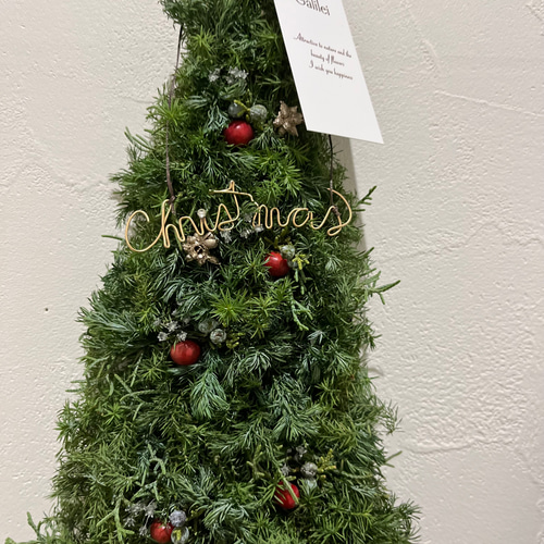 壁掛けクリスマスツリーフレッシュ リース Galilei 通販 16953459
