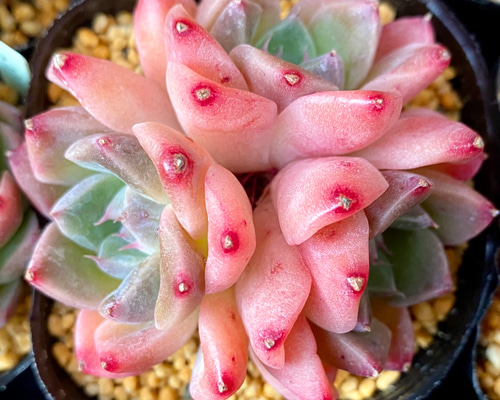 58fc030f9a79254213e1af11c0f3dd