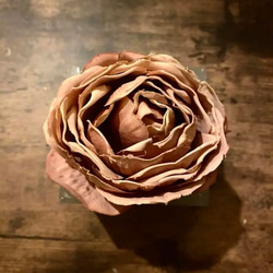 HUgE Rose 2枚目の画像