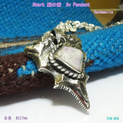 ハックマナイト シャークティース【sale】鮫の歯 shark teeth シルバーペンダント　atpsharkt10 1枚目の画像