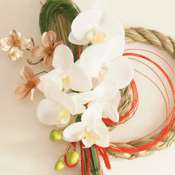 【しめ縄】新作　胡蝶蘭とハナミズキのお正月飾り（М）　 4枚目の画像