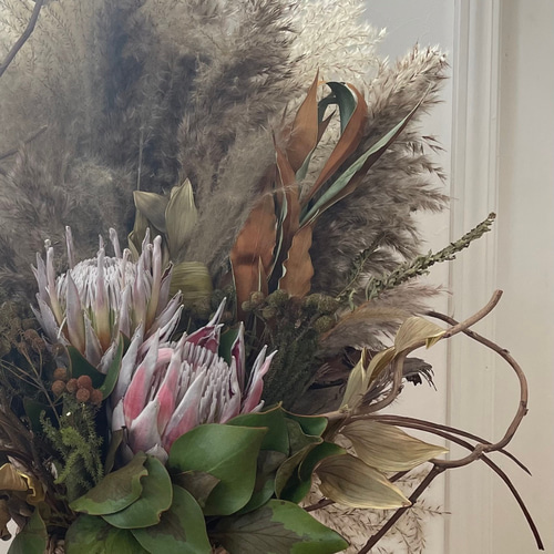 プロテアとバンクシアのアレンジメント プロテアとバンクシアのアレンジメント 専用ページ ドライ