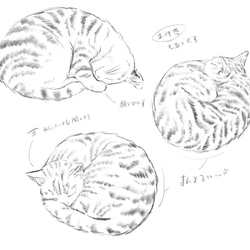もちもちフワフワ【Creema特集掲載×雑誌“猫びより”掲載】まるで猫!?なクッション『necomaru』 8枚目の画像