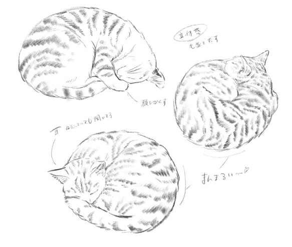 もちもちフワフワ【Creema特集掲載×雑誌“猫びより”掲載】まるで猫!?なクッション『necomaru』 8枚目の画像