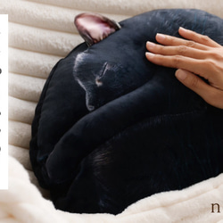 【TVや雑誌で話題✨】もちもちフワフワ！まるで猫!?なクッション『necomaru』 4枚目の画像