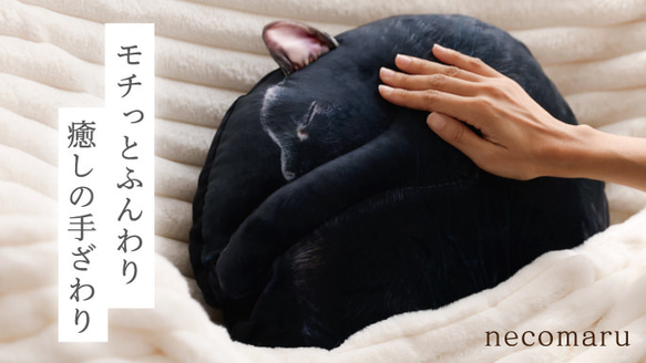【TVや雑誌で話題✨】もちもちフワフワ！まるで猫!?なクッション『necomaru』 4枚目の画像