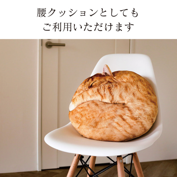 【母の日早割2024】人気雑誌「猫びより」掲載＼猫グッズ☆／まるで猫!?なクッション『necomaru』 9枚目の画像