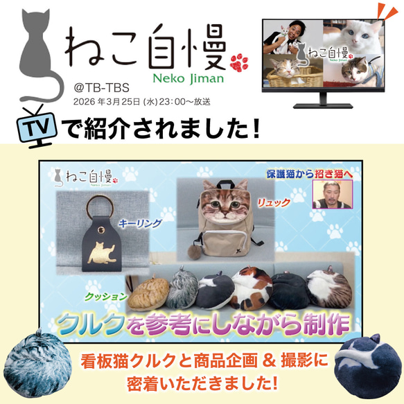 【TVや雑誌で話題✨】もちもちフワフワ！まるで猫!?なクッション『necomaru』 2枚目の画像