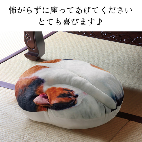 もちもちフワフワ【Creema母の日特集掲載】まるで猫!?な