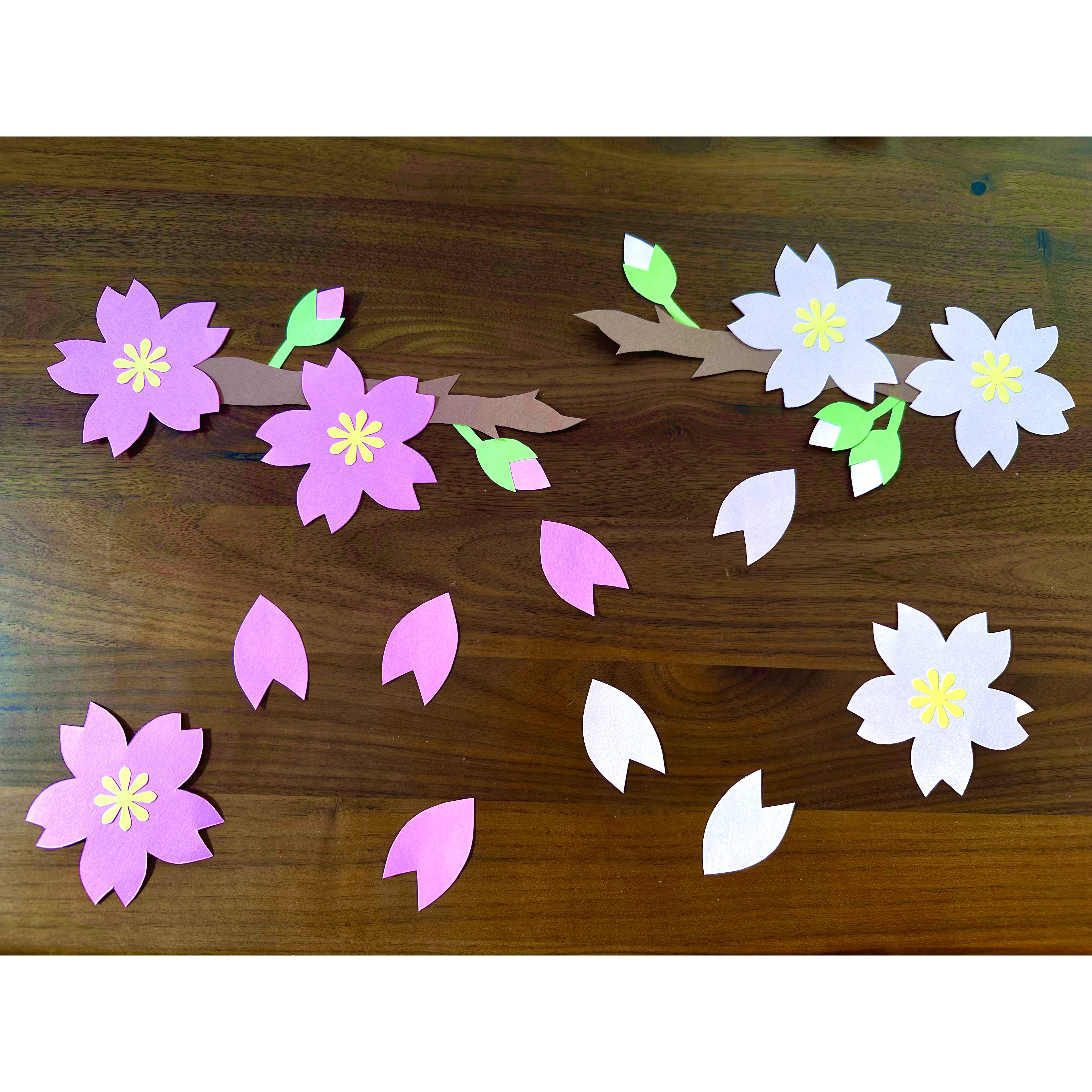 春壁面 桜 さくら 3月壁面飾り 4月壁面飾り 画用紙 ガーランド